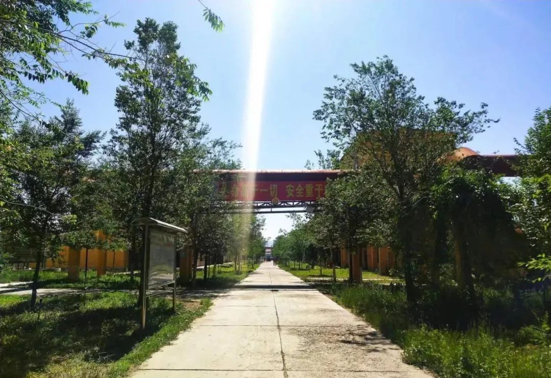 宝石花·有声 | 十年，我爱上了你——恒盛